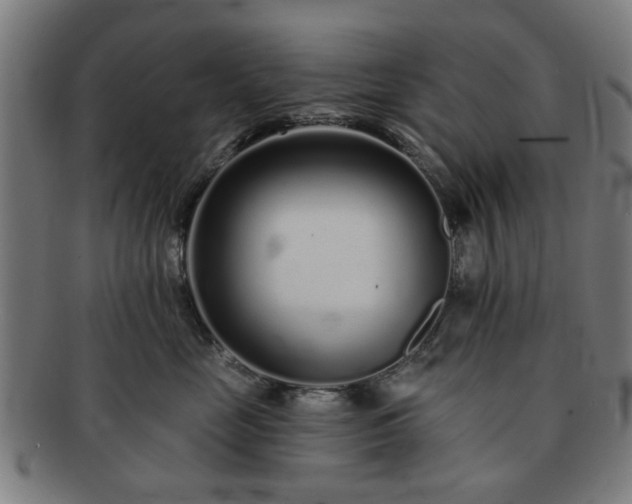 X0000091700669200708311054