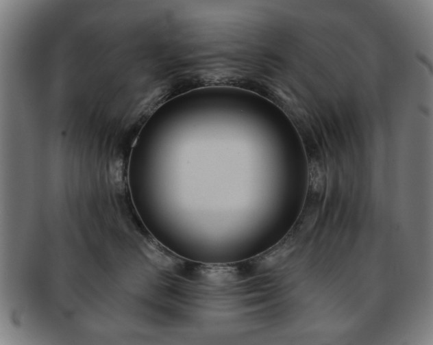 X0000091700670200708311054