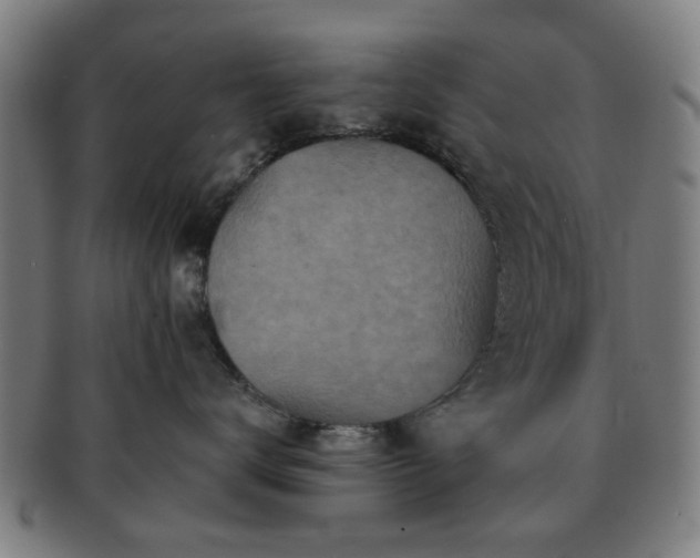 X0000091700672200708311055