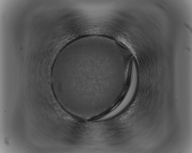 X0000091700673200708311054