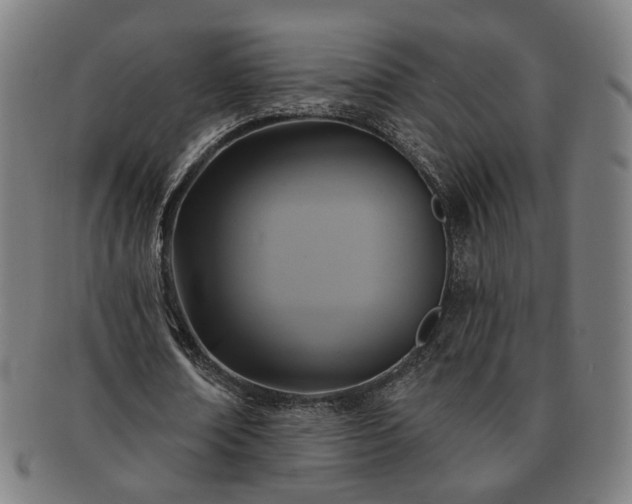 X0000091700674200708311054