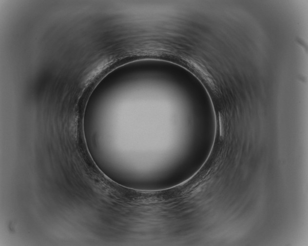 X0000091700675200708311054