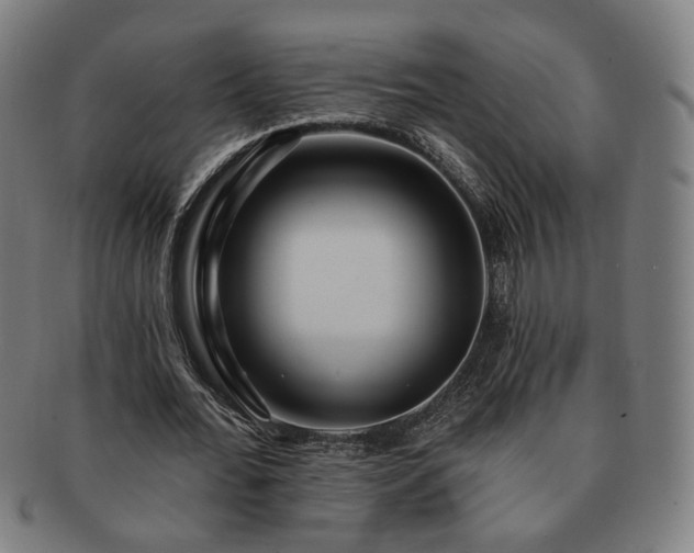 X0000091700676200708311054