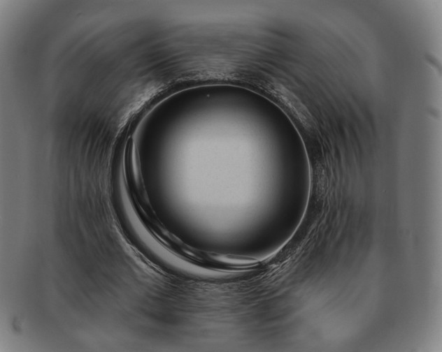 X0000091700677200708311054