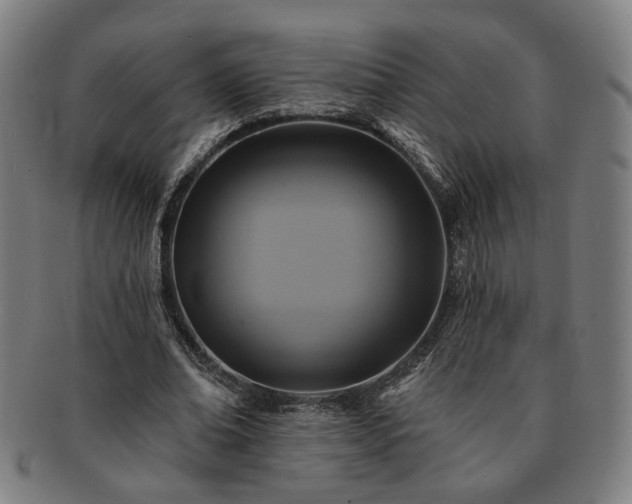 X0000091700678200708311054