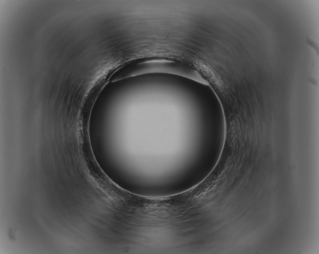 X0000091700680200708311054