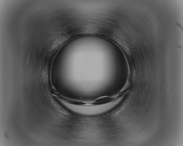 X0000091700681200708311054