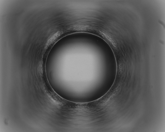 X0000091700682200708311054
