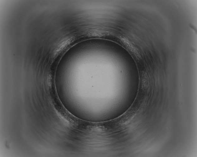 X0000091700683200708311054