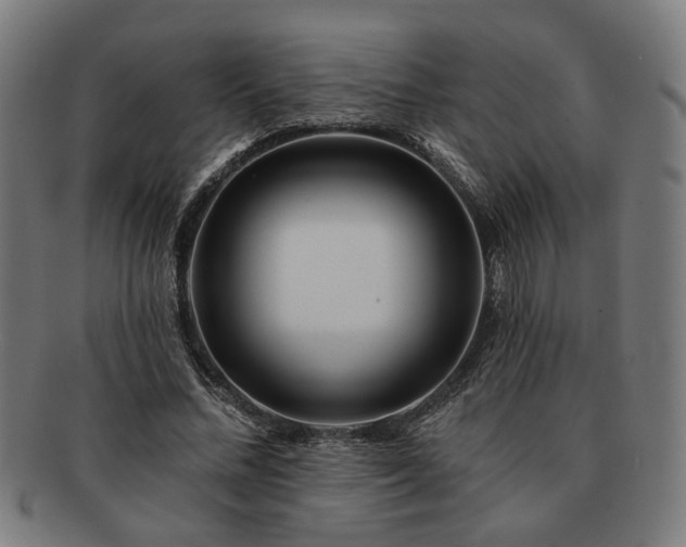 X0000091700684200708311054