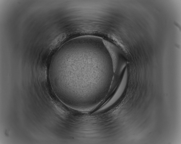 X0000091700685200708311054