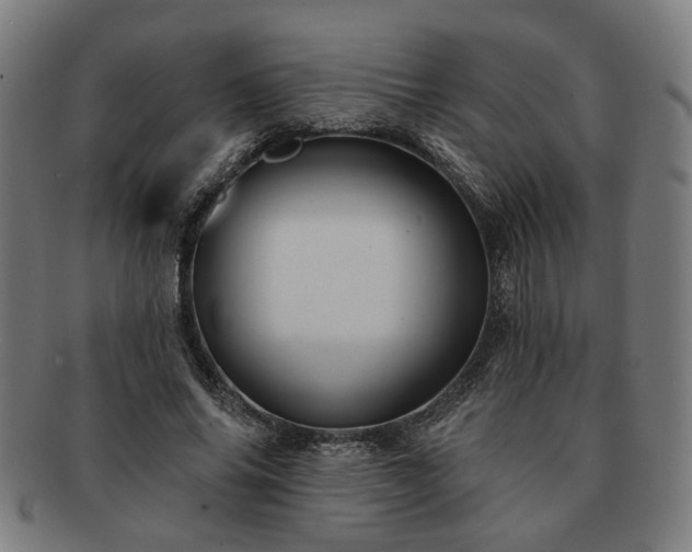 X0000091700686200708311054