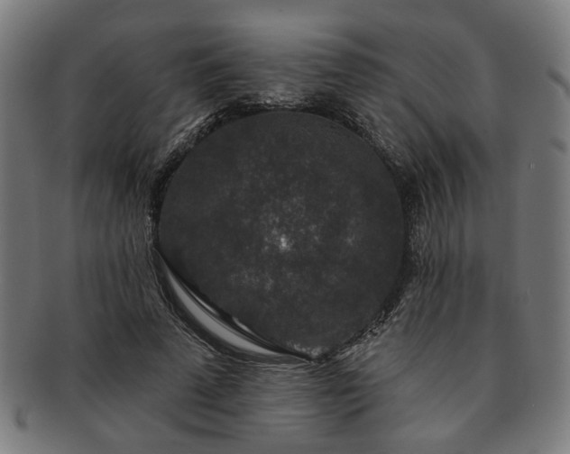 X0000091700689200708311054