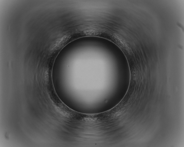 X0000091700690200708311054