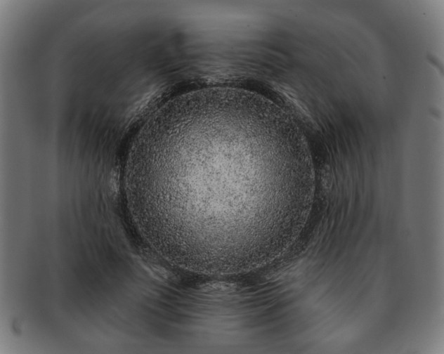 X0000091700691200708311054