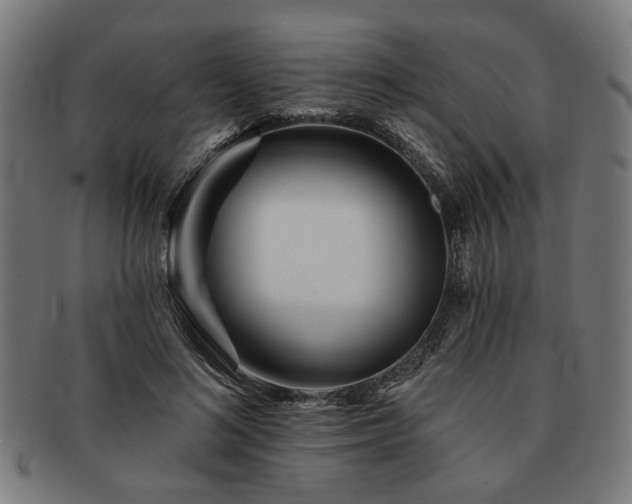X0000091700692200708311054