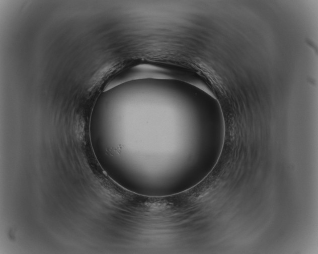 X0000091700693200708311054