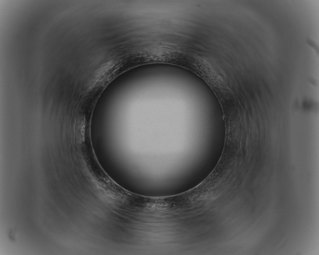 X0000091700694200708311054