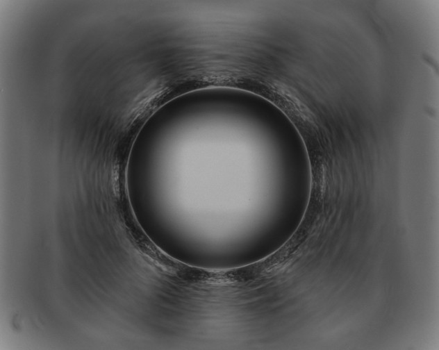 X0000091700696200708311054