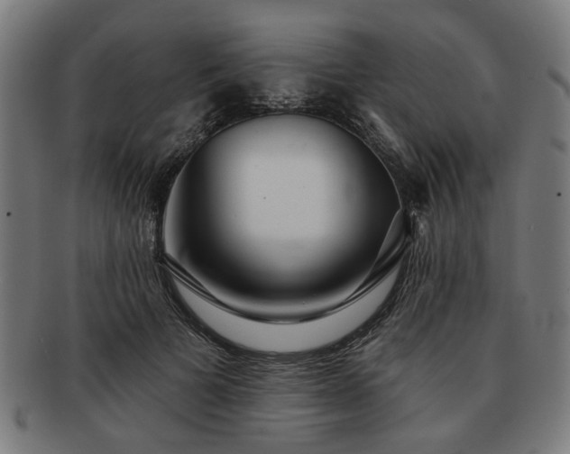X0000091700697200708311054