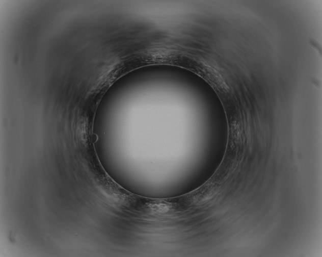 X0000091700698200708311054
