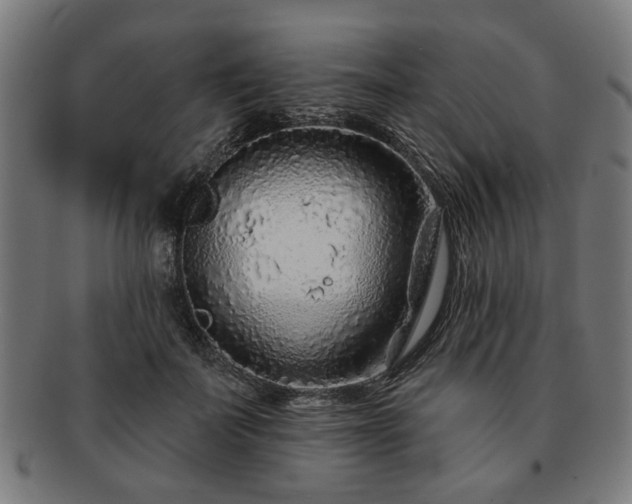 X0000091700699200708311054