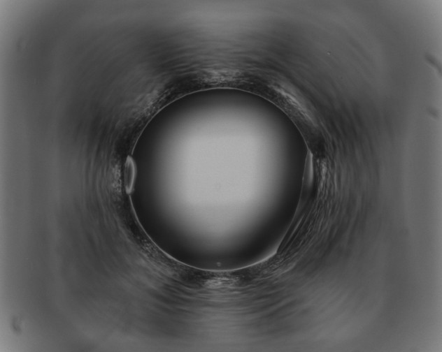 X0000091700700200708311053