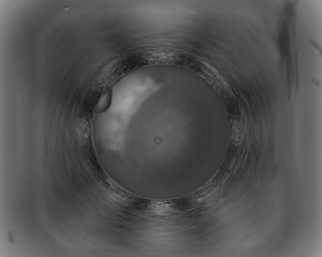 X0000091700701200708311053