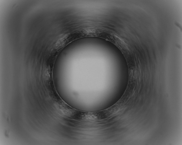 X0000091700702200708311053