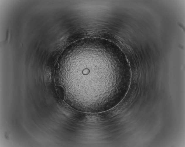 X0000091700703200708311053