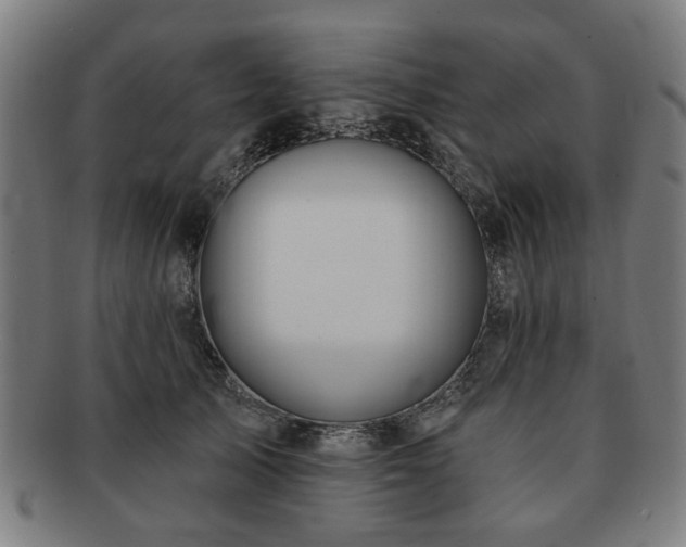 X0000091700705200708311053
