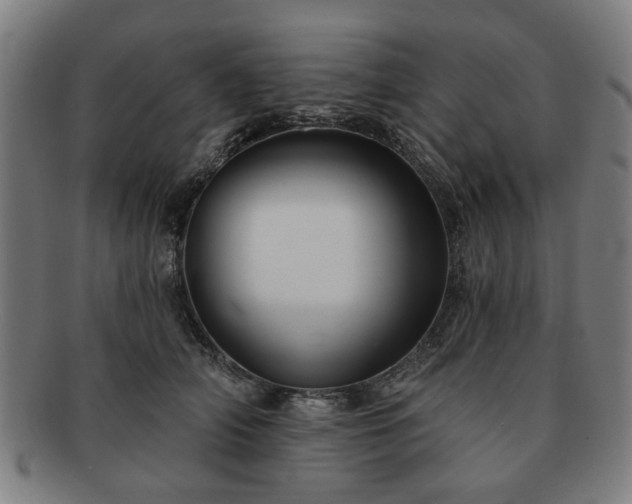 X0000091700706200708311053