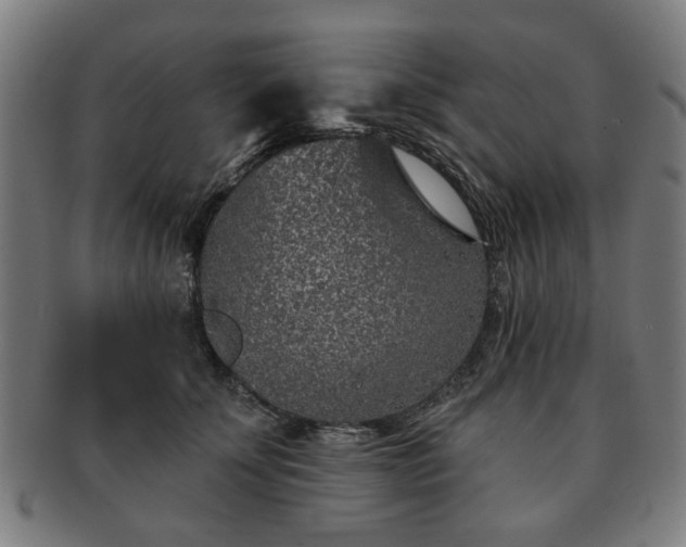 X0000091700707200708311053