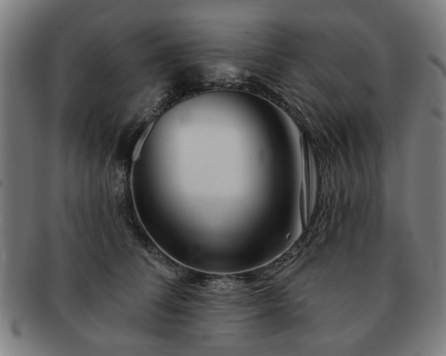 X0000091700708200708311053