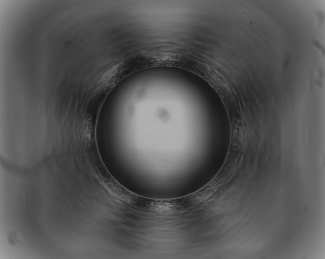 X0000091700710200708311053
