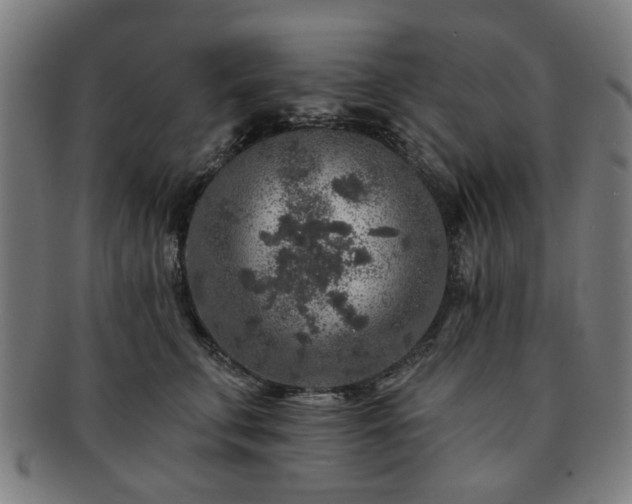 X0000091700711200708311053