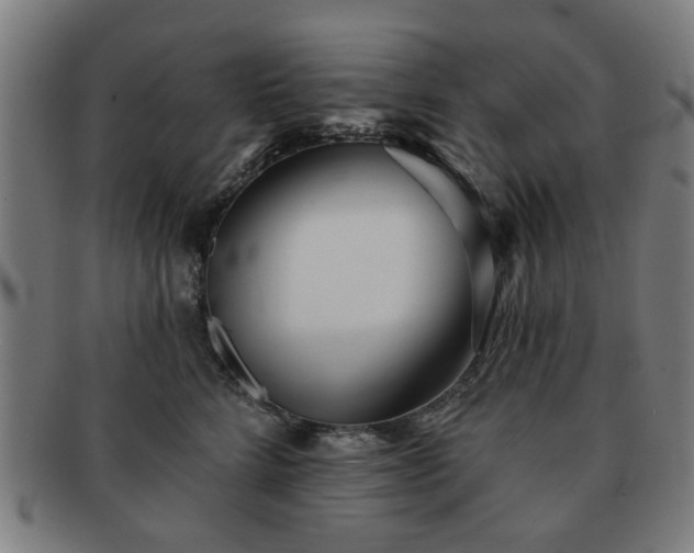 X0000091700712200708311053
