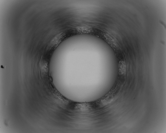 X0000091700713200708311053