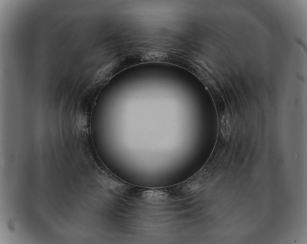 X0000091700714200708311053