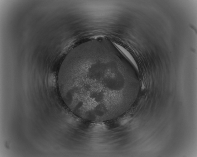 X0000091700715200708311053