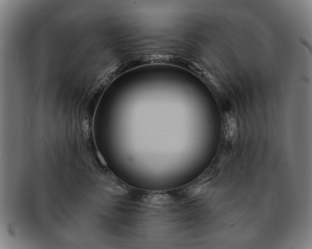 X0000091700716200708311053