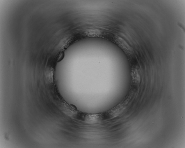 X0000091700717200708311053