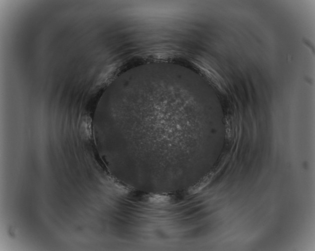 X0000091700718200708311053