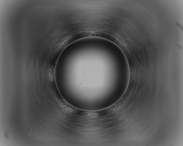X0000091700719200708311053