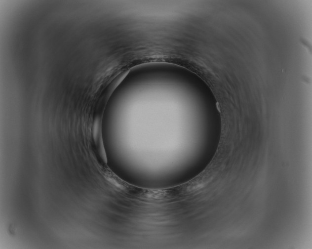 X0000091700720200708311053
