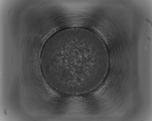 X0000091700721200708311053