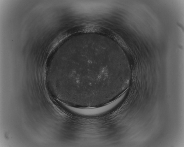 X0000091700722200708311053