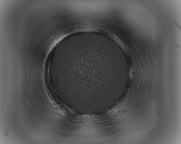 X0000091700724200708311053