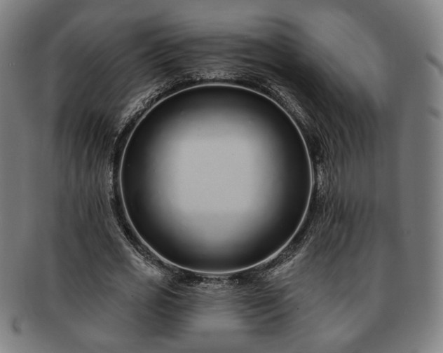X0000091700725200708311053