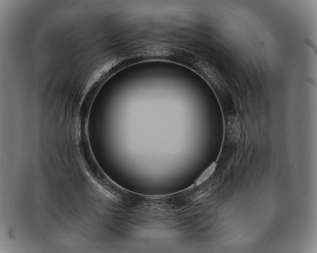 X0000091700726200708311053